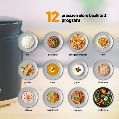 Lauben Multifunction Rice Cooker 2000BW Lauben Multifunction Rice Cooker 2000BW